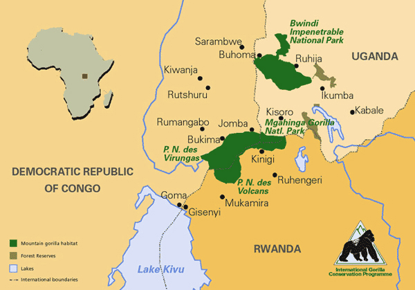 jinja rapids map