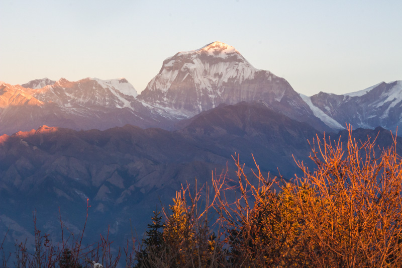 Ghorepani Poon Hill Trek