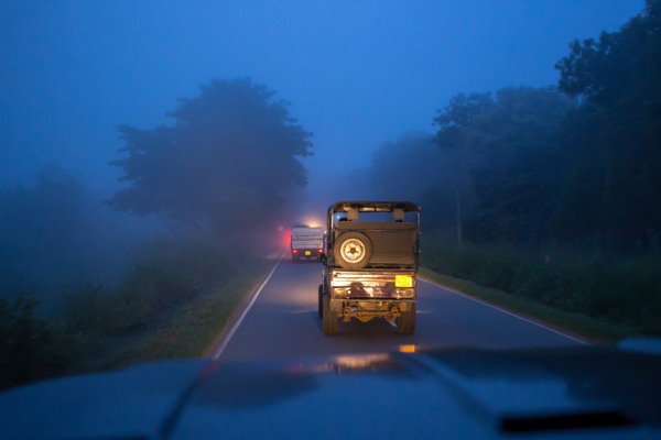 A Safari in Udawalawe